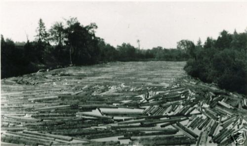 river loggers